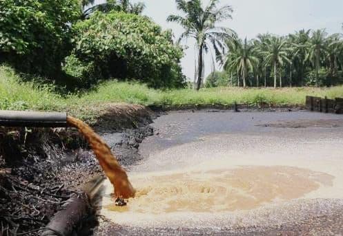 USM Indonesia Hadirkan Solusi Berbasis Nano dan IoT Ramah Lingkungan untuk Atasi Limbah Cair Sawit 