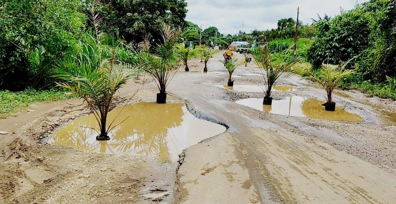 DPRD Sorot Kontribusi Perusahaan Sawit di Kubar, Dinilai Belum Beri Dampak Positif 