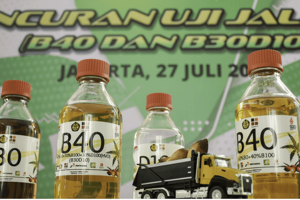 Ambisi Biodiesel dan Bayang-Bayang Stagnasi Produksi Sawit