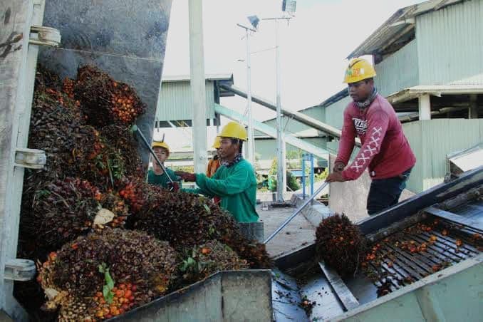 Industri Pengolahan Sawit Menarik Minat Investor di Kotim