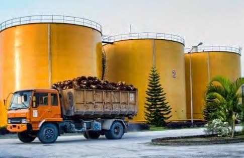 Hilirisasi Sawit Jadi Motor Ekonomi Lampung, Nilai Ekspor Tembus USD 2,35 Miliar di 2025