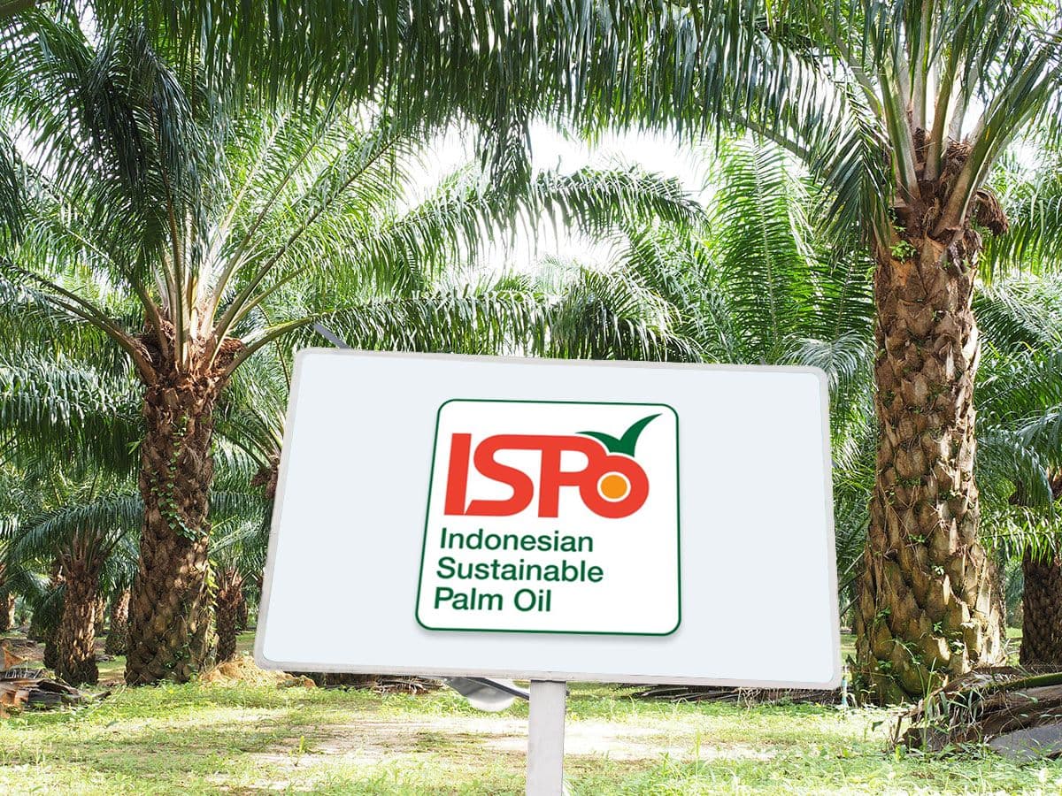 BPDP Buka Akses Pendanaan Sarpras dan Sertifikasi ISPO, Ini Cara Pekebun Mengajukannya