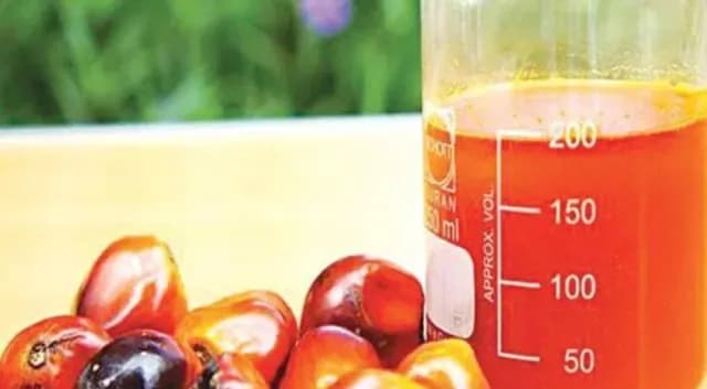 Harga CPO Melonjak Usai Imlek, Kontrak Maret 2026 Tembus 4.093 Ringgit di Bursa Malaysia