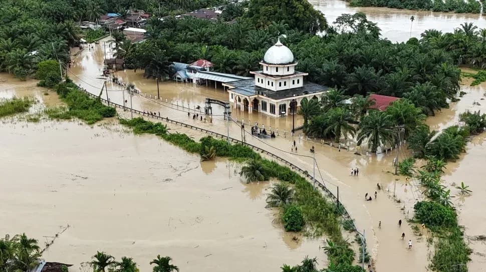 Banjir Lumpuhkan Akses Kebun, Petani Sawit di Aceh dan Sumatera Berjuang Pulihkan Aktivitas