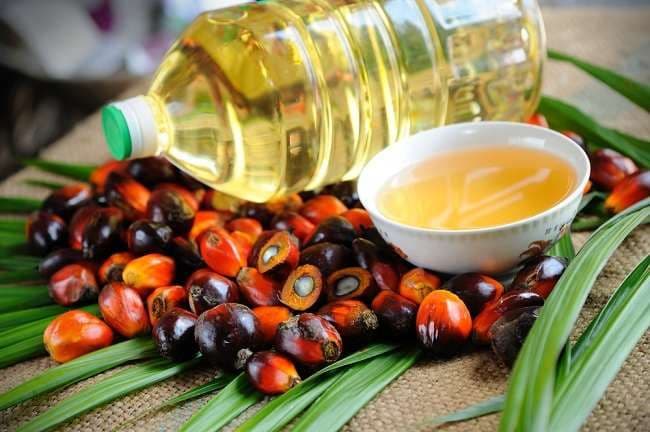 Dari Kebun hingga Dapur: Begini Perjalanan Kelapa Sawit Menjadi Minyak Goreng yang Digunakan Masyarakat Indonesia