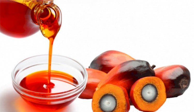 Mengenal Minyak Sawit Merah: Superfood Alami Kaya Vitamin A dan Antioksidan yang Kian Dilirik