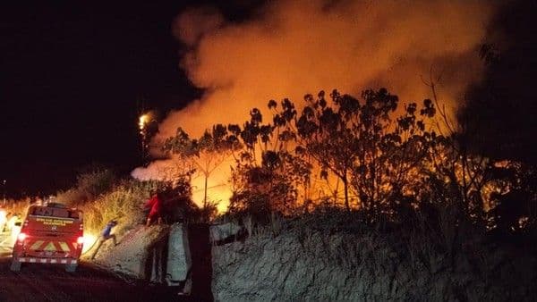 Data GAPKI Ungkap Karhutla Tak Semata Soal Sawit, Kebakaran Terjadi di Berbagai Wilayah Indonesia
