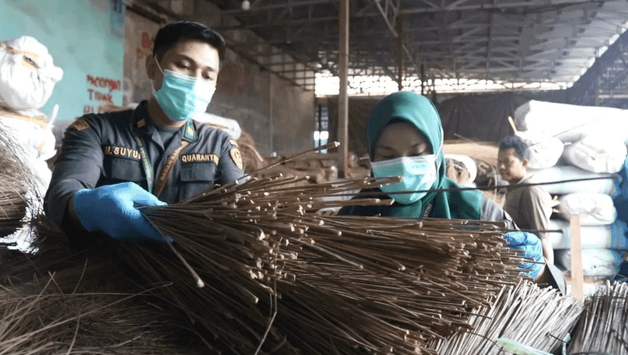 Nilai Ekspor Lidi Sawit Sumut Tembus Rp197 Miliar, Lampaui Capaian 2025