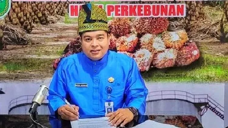 Defris Hatmaja Ungkap Penyebab Harga TBS Sawit Mitra Swadaya Riau Anjlok