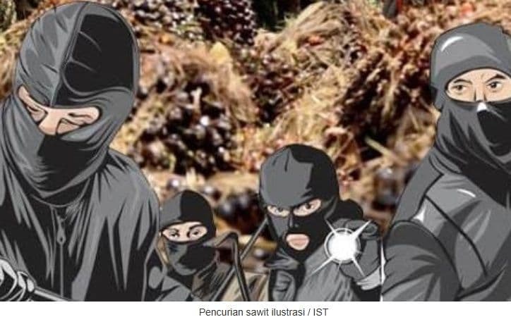 Empat Pencuri TBS di Kebun Sawit Terpaksa Ditembak karena Melawan