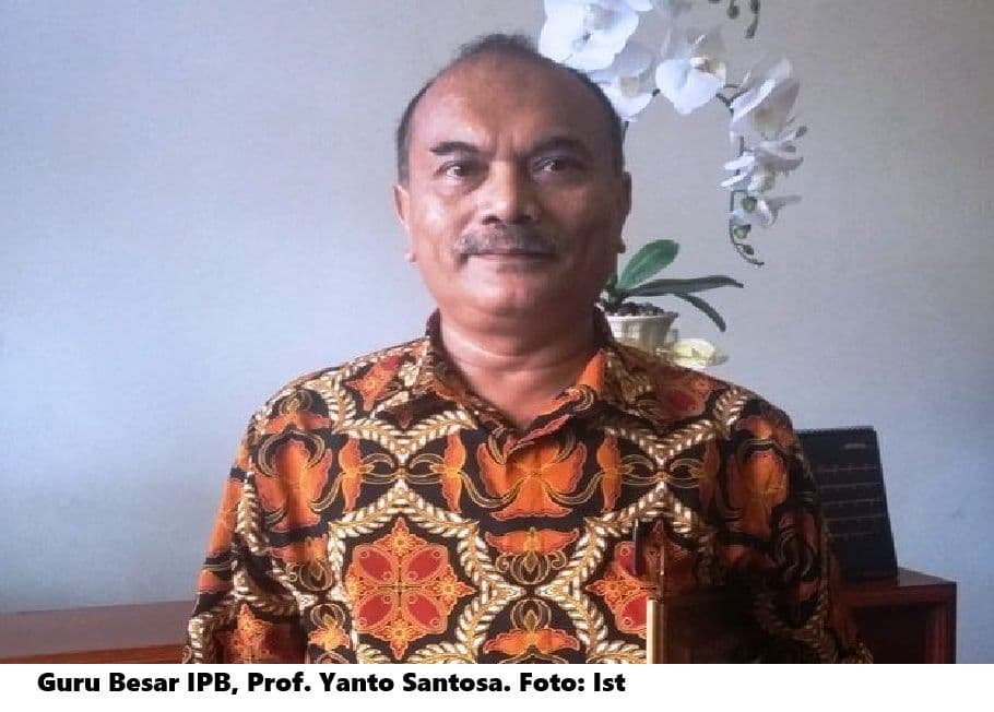 Sawit, Dari Limbah Menjadi Berkah