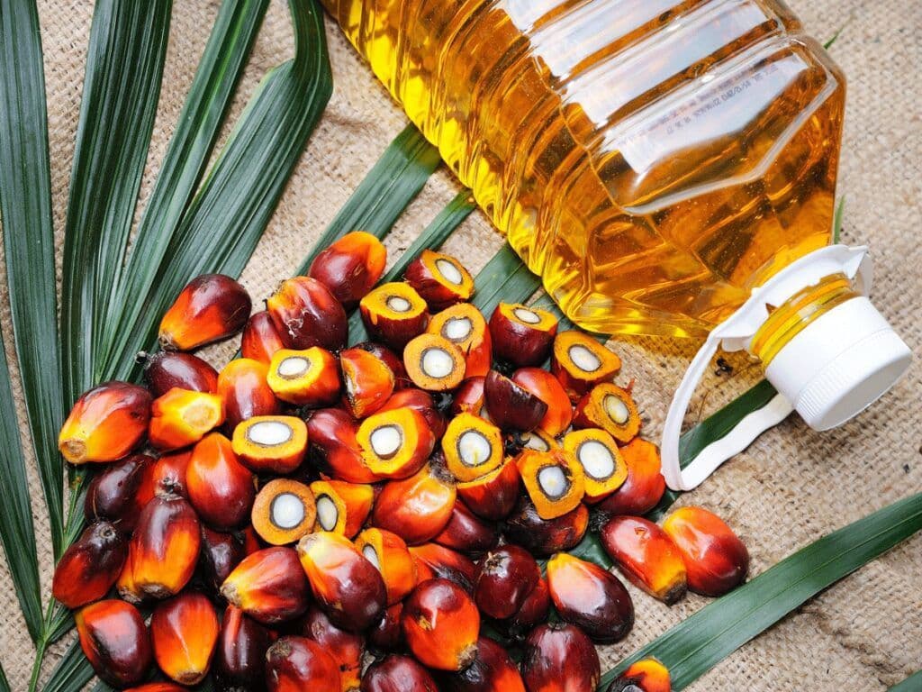 Stok Minyak Sawit Malaysia Diramal Menyusut Jelang Akhir Tahun, Harga Diprediksi Stabil di Tengah Ketidakpastian Pasokan Global