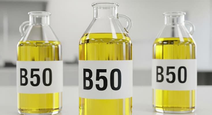 B50: Biodiesel Sawit 50% Siap Meluncur di 2026, Uji Coba Jalan Masih Berlangsung