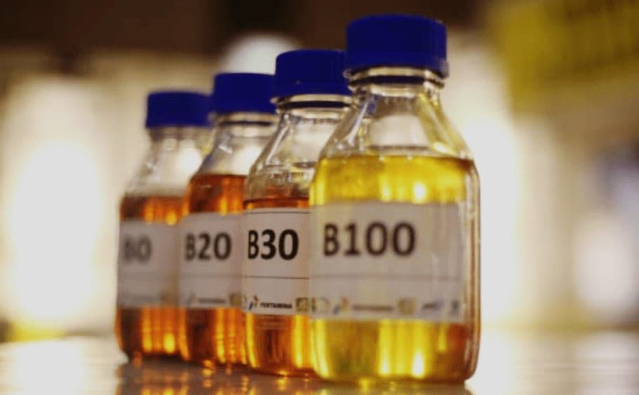 Mandatori Biodiesel Terlalu Kaku Dinilai Berisiko Lepaskan Kendali Harga Sawit Global