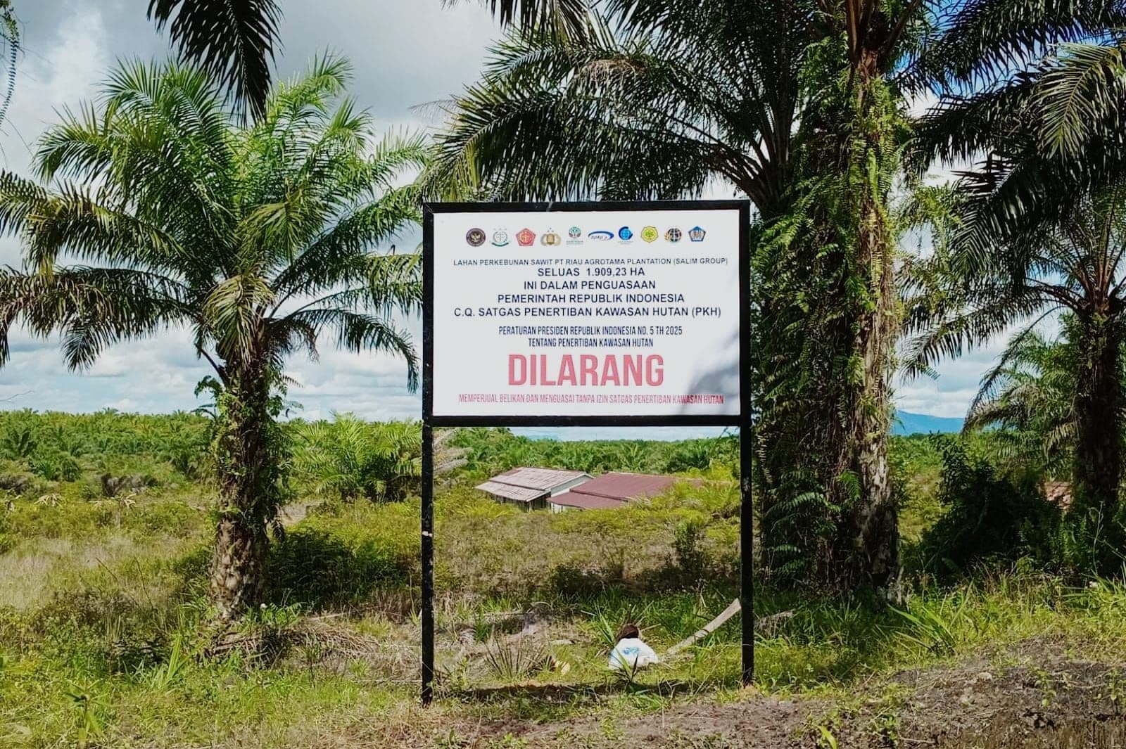 Ketimpangan Penegakan Hukum SDA Disorot: Sawit Diambil Negara, Tambang Cukup Bayar Denda