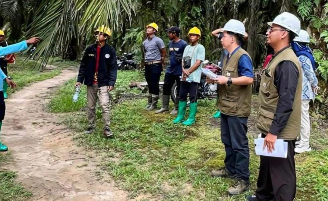 Akademisi Ingatkan Ancaman Hama dan Penyakit, Deteksi Dini Jadi Penentu Produksi Sawit