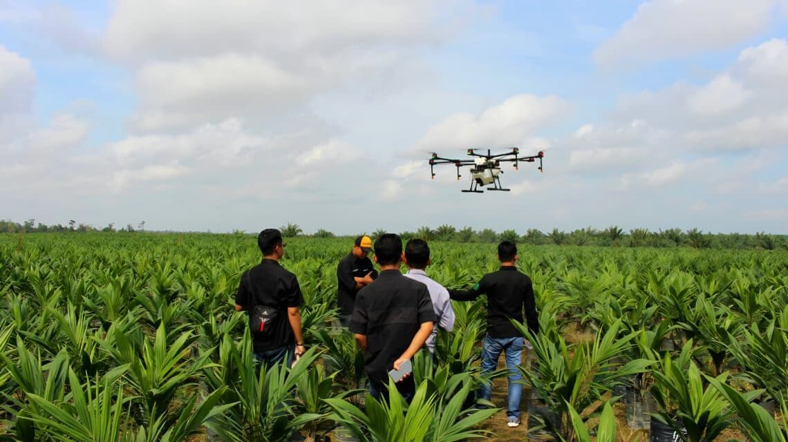 Tanpa Ekspansi Lahan, Sawit Malaysia Bertaruh pada Teknologi dan AI