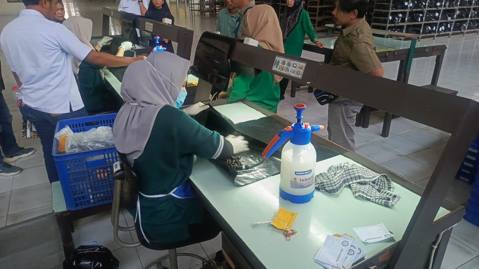 WhatsApp Image 2026-01-13 at 11.56.21.jpeg