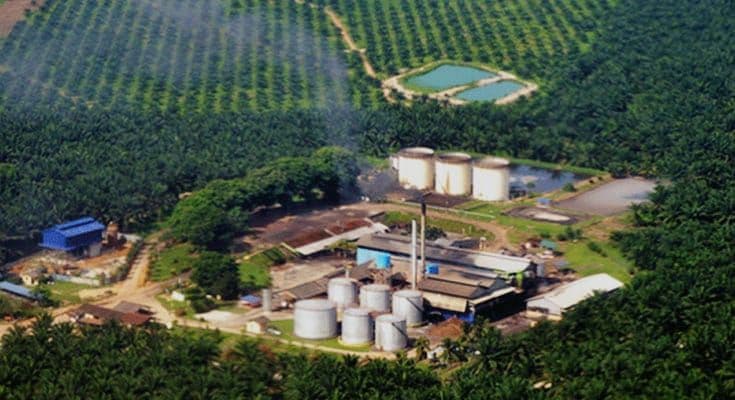 DPRD Sulsel Siapkan Sidak Pabrik Sawit, Tegaskan Harga TBS Tak Boleh Diabaikan