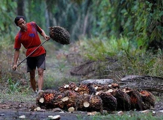 WhatsApp Image 2026-01-24 at 14.10.00.jpeg