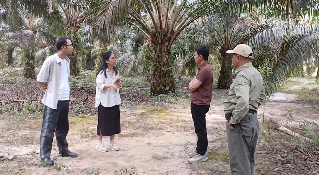 WhatsApp Image 2026-02-04 at 09.34.56.jpeg