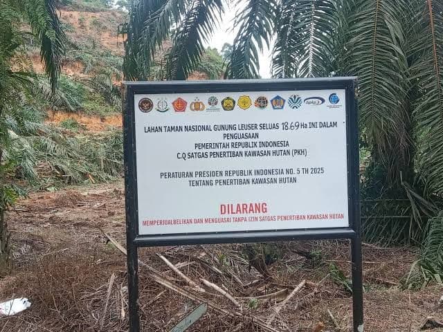 Pakar: Kebun Sawit Berizin di Kawasan Hutan Tak Bisa Langsung Disebut Ilegal