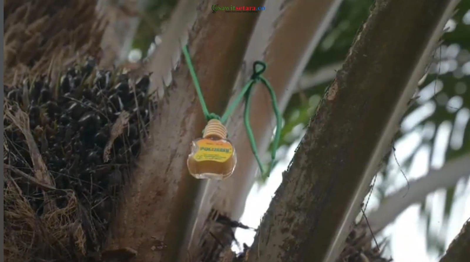 WhatsApp Image 2026-02-12 at 15.32.38.jpeg