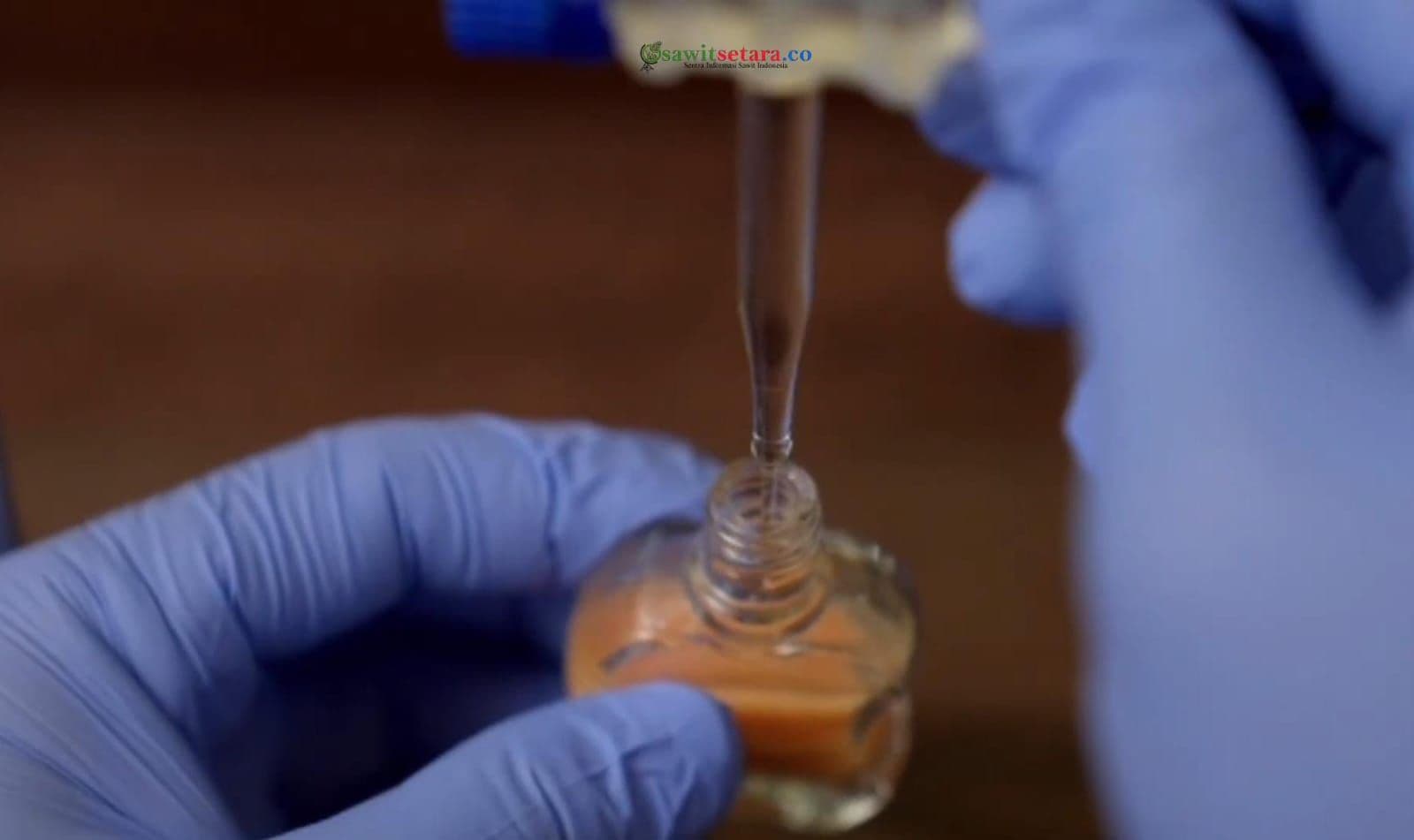 WhatsApp Image 2026-02-12 at 16.04.22.jpeg