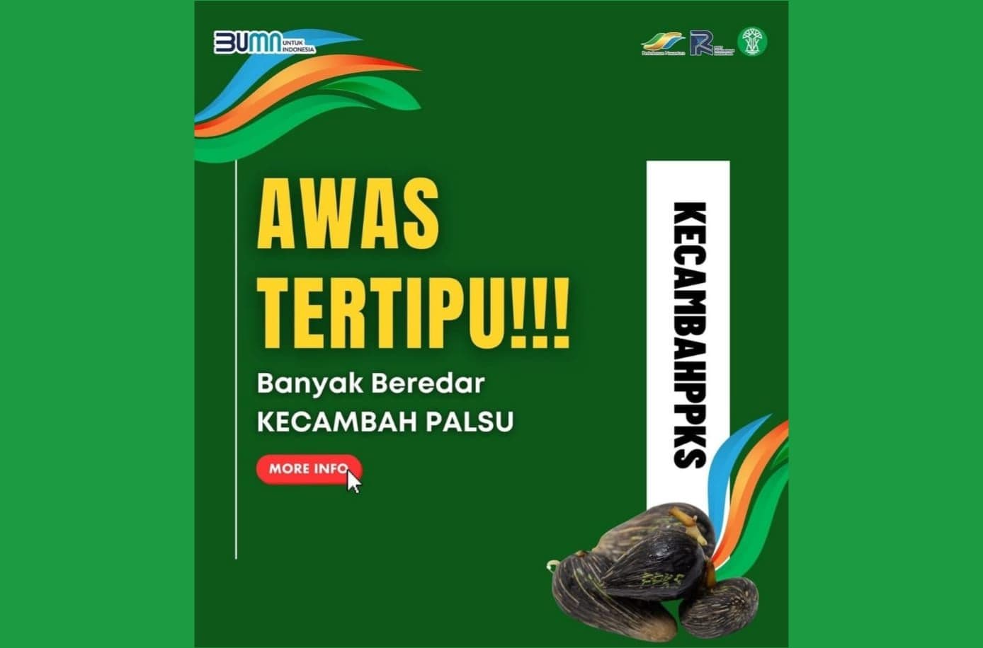 Balai Karantina Lampung Ciduk Ribuan Butir Benih Sawit Ilegal, Dikirim ke Luar Daerah Berkedok Parcel