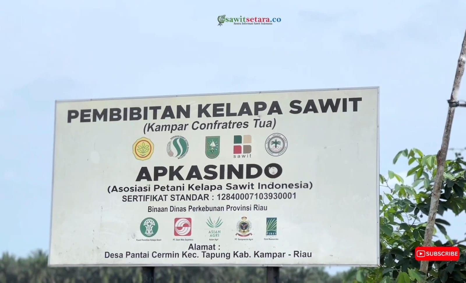 Pembibitan APKASINDO Kota Batak Hadirkan Bibit Sawit Unggul Bersertifikat 