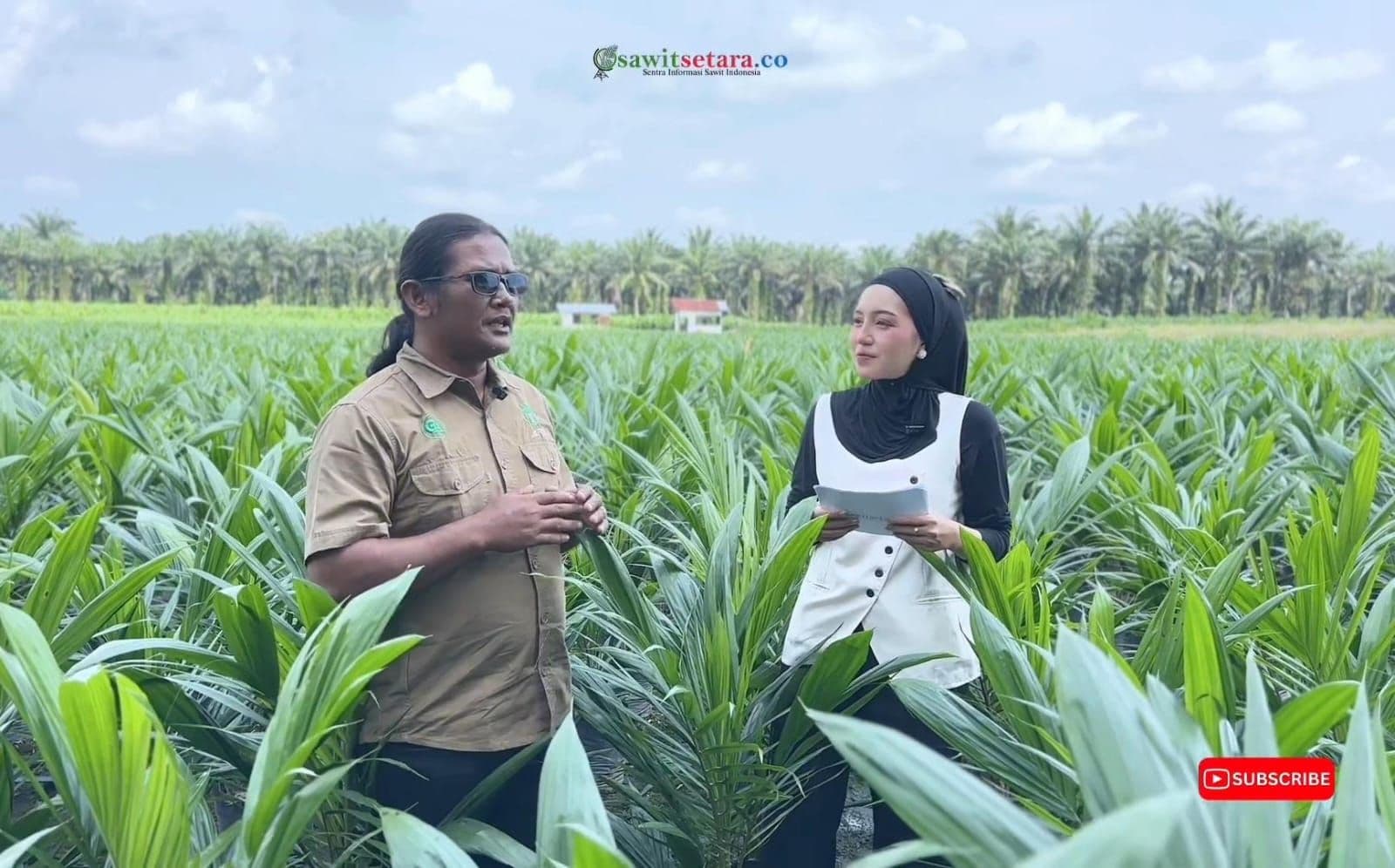 Bibit Unggul Pembibitan APKASINDO Kota Batak Jadi Rebutan Petani