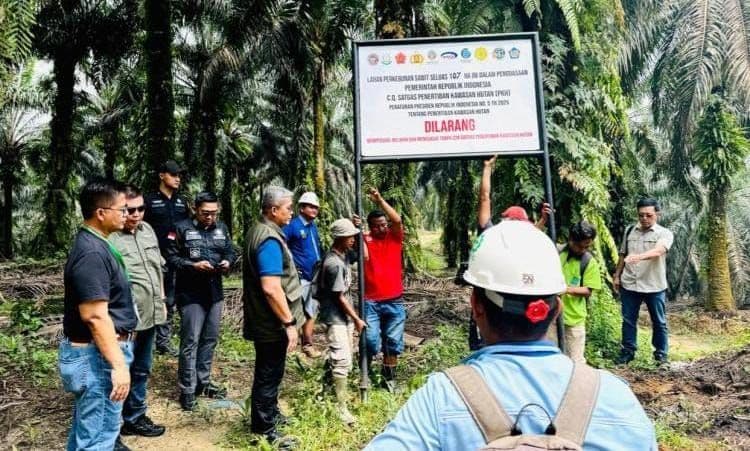 Produksi Sawit Indonesia Diproyeksi Turun 5-6 Ton Buntut Operasi Satgas PKH, Ganggu Hilirisasi 
