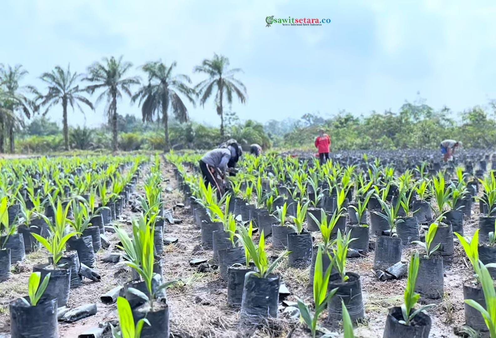 WhatsApp Image 2026-03-11 at 11.16.20.jpeg