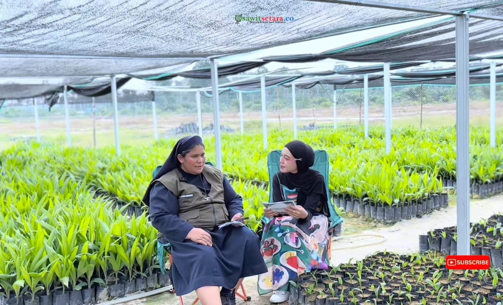 Salah Pilih Bisa Berdampak 25 Tahun, Dapatkan Bibit Sawit Berkualitas di Pembibitan APKASINDO Redang Seko