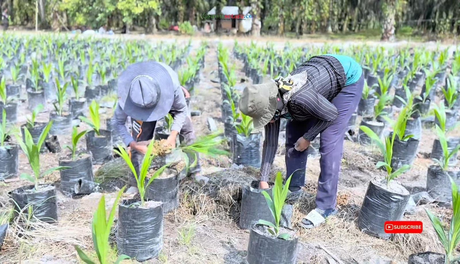 WhatsApp Image 2026-03-11 at 11.42.18 (1).jpeg