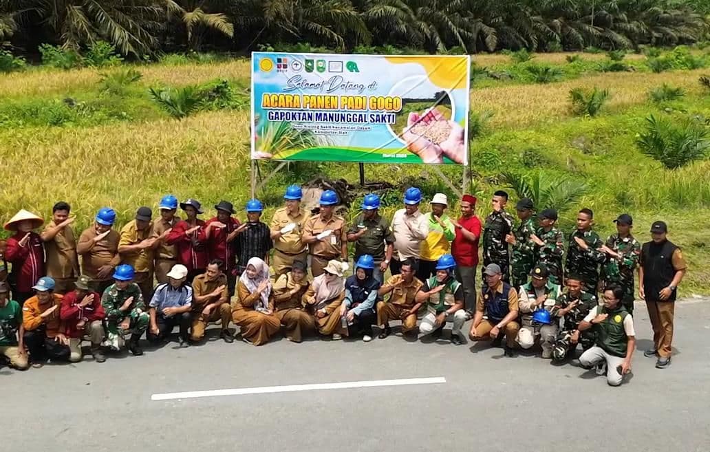 Manfaatkan Gawangan PSR, Gapoktan Manunggal Sakti Siak Panen Perdana Padi Gogo