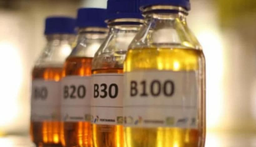 Biodiesel B15 Mulai Juni, Malaysia Incar Harga Solar Lebih Murah dan Ekonomi Desa Bangkit