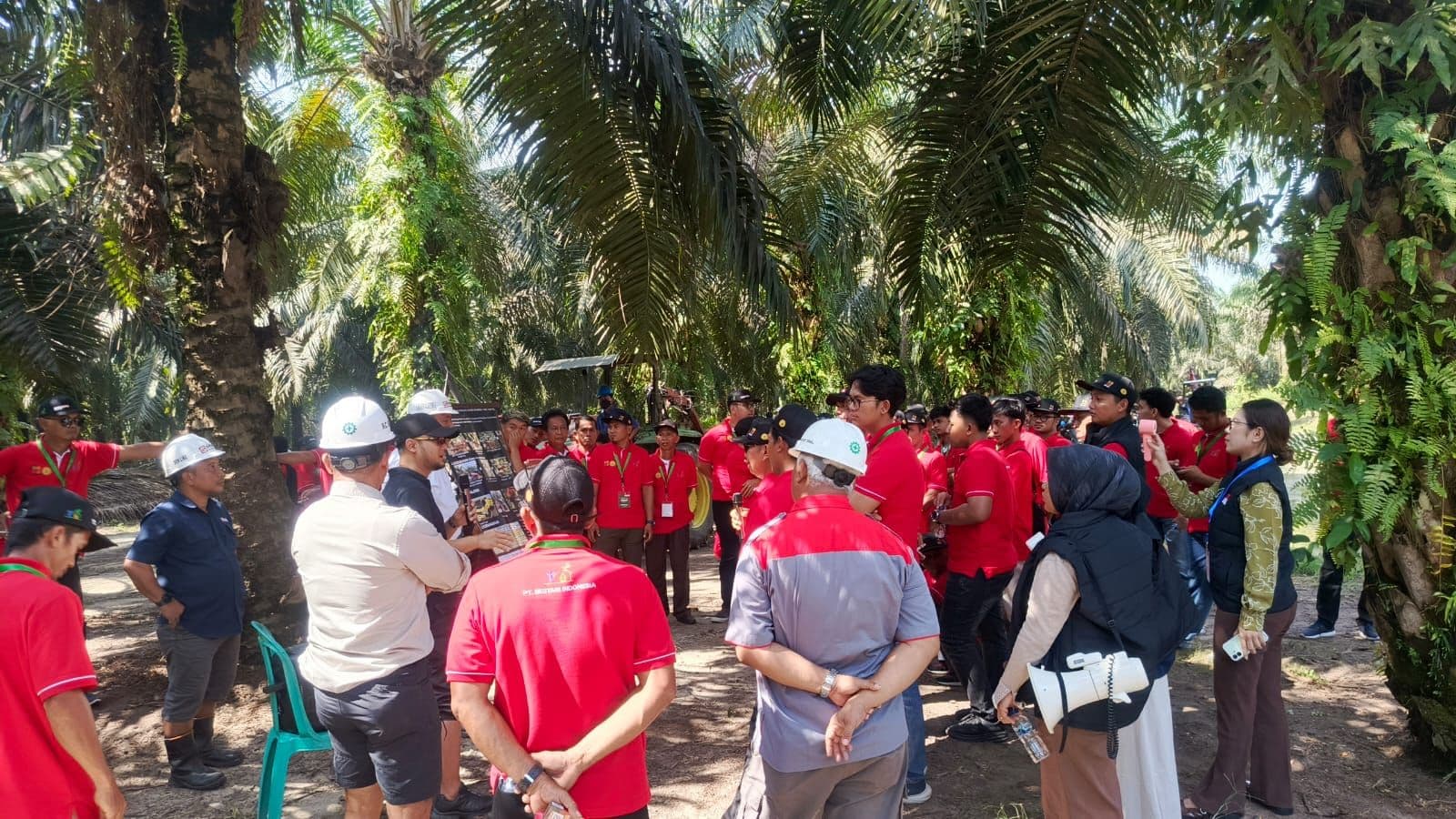 PT Bestari Bawa Pekebun Inhil Belajar Praktik Budidaya Sawit Modern di PT Ivomas Tunggal