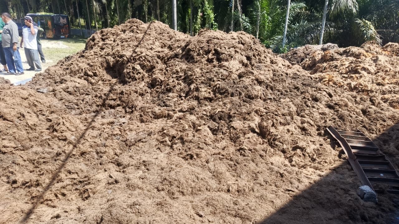 Limbah Kelapa Sawit Dinilai Berpotensi Besar Jadi Produk UMKM Bernilai Tambah