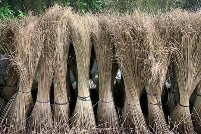 Lidi Sawit Jadi Pintu Masuk Hilirisasi Petani hingga Pasar Tiongkok
