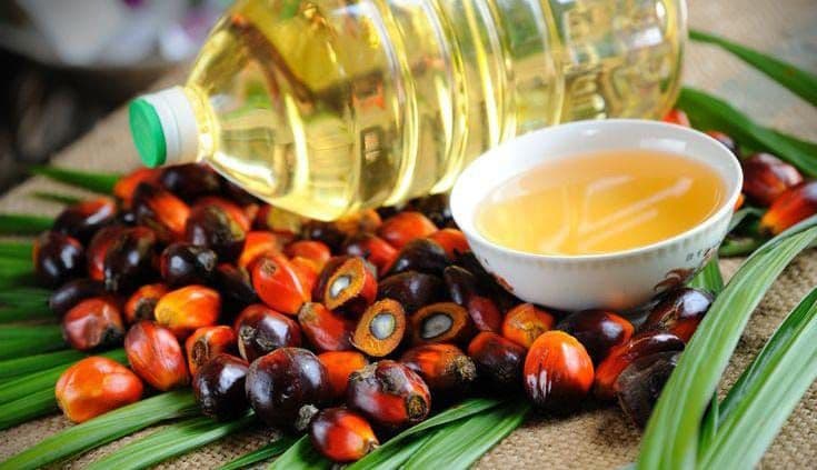 Uni Eropa Perketat Kontaminan, BRIN Siapkan Alat Deteksi Sawit dalam Sejam