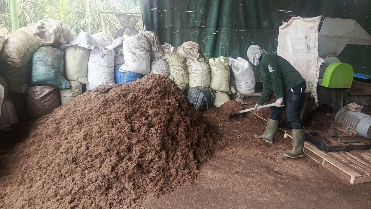 Biomassa Sawit Melimpah, Biaya Logistik Jadi Tantangan Pengembangan Industri