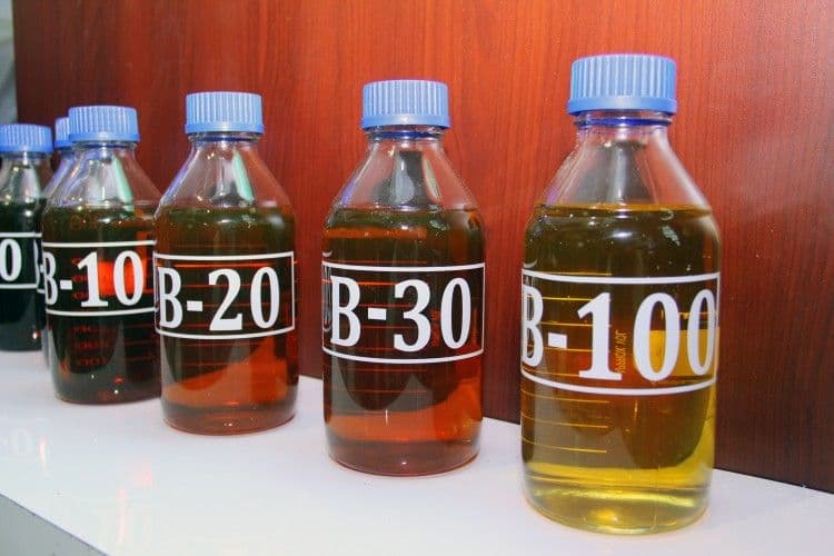 Program B50 Dapat Mengerek Harga CPO