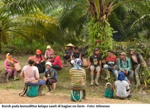 May Day, Gubernur Kaltim Siap Sertifikasi Buruh Sawit