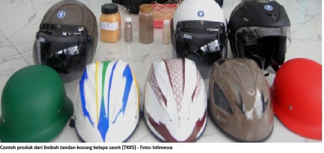 Peneliti: Kelapa Sawit Adalah Tanaman Tanpa Limbah