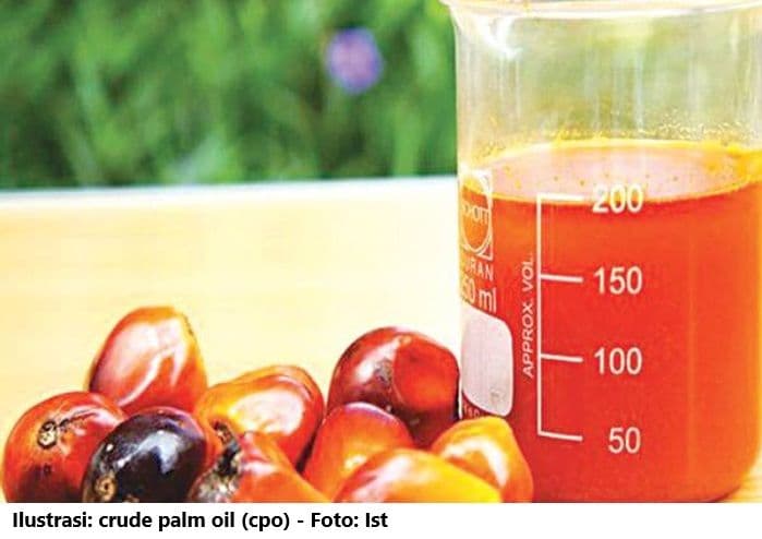 Awal 2026, Harga Referensi CPO Sebesar USD915,64/MT 