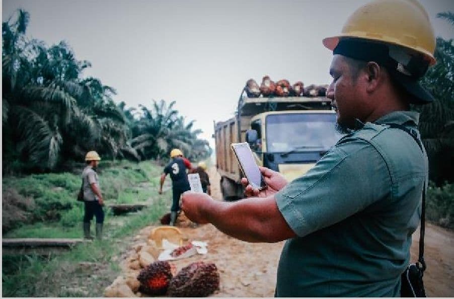 Celebes Forum 2025: Digitalisasi Dorong Industri Sawit