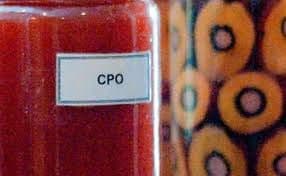 Harga CPO Malaysia Melemah, Tertekan Kinerja Minyak Nabati Global dan Kuatnya Ringgit