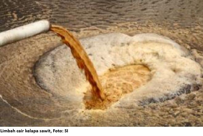 Pakar Ilmu Tanah IPB, Basuki: Limbah Sawit Dapat Perkuat Ketahanan Ekonomi