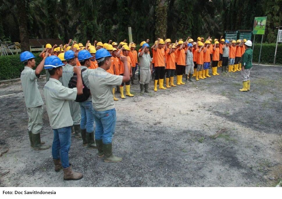 Akademisi: Hati-Hati, Denda Satgas PKH Dapat Memicu PHK Jutaan Pekerja Sawit